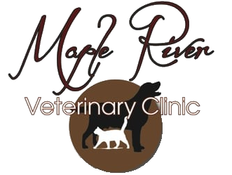 Bancroft Veterinary Clinic